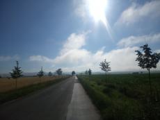 Tree alley in Tornaľa