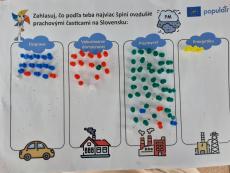 Sources of air pollution survey