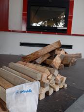 Biomass