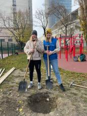 Digging a hole