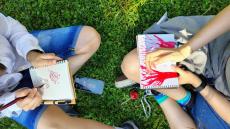 Krajina, stromy a my