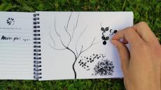 Krajina, stromy a my