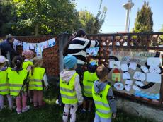 Aktivity v materskej škole