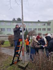 Installation of the sampler