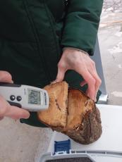Wood moisture measurement