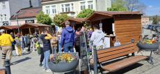Forestry day, Trenčín
