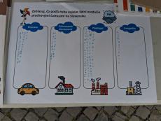 Sources of air pollution survey
